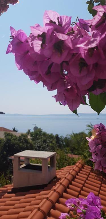 Summer Lounge Apartment Τρογκίρ Εξωτερικό φωτογραφία